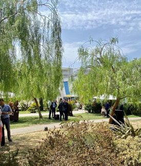 Espace – Parvis Jardin