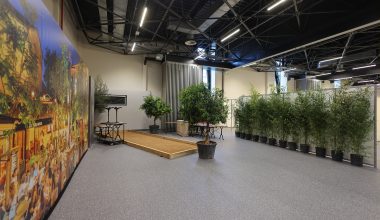 Lot 5 : Consultation – référencement location plantes et décoration florale